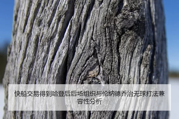 kuai-chuan-jiao-yi-de-dao-ha-deng-hou-hou-chang-zu-zhi-yu-lun-na-de-qiao-zhi-wu-qiu-da-fa-jian-rong-xing-fen-xi-3-614.jpg